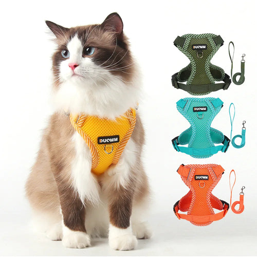 Cat wearing a yellow harness with four additional harnesses displayed on a white background