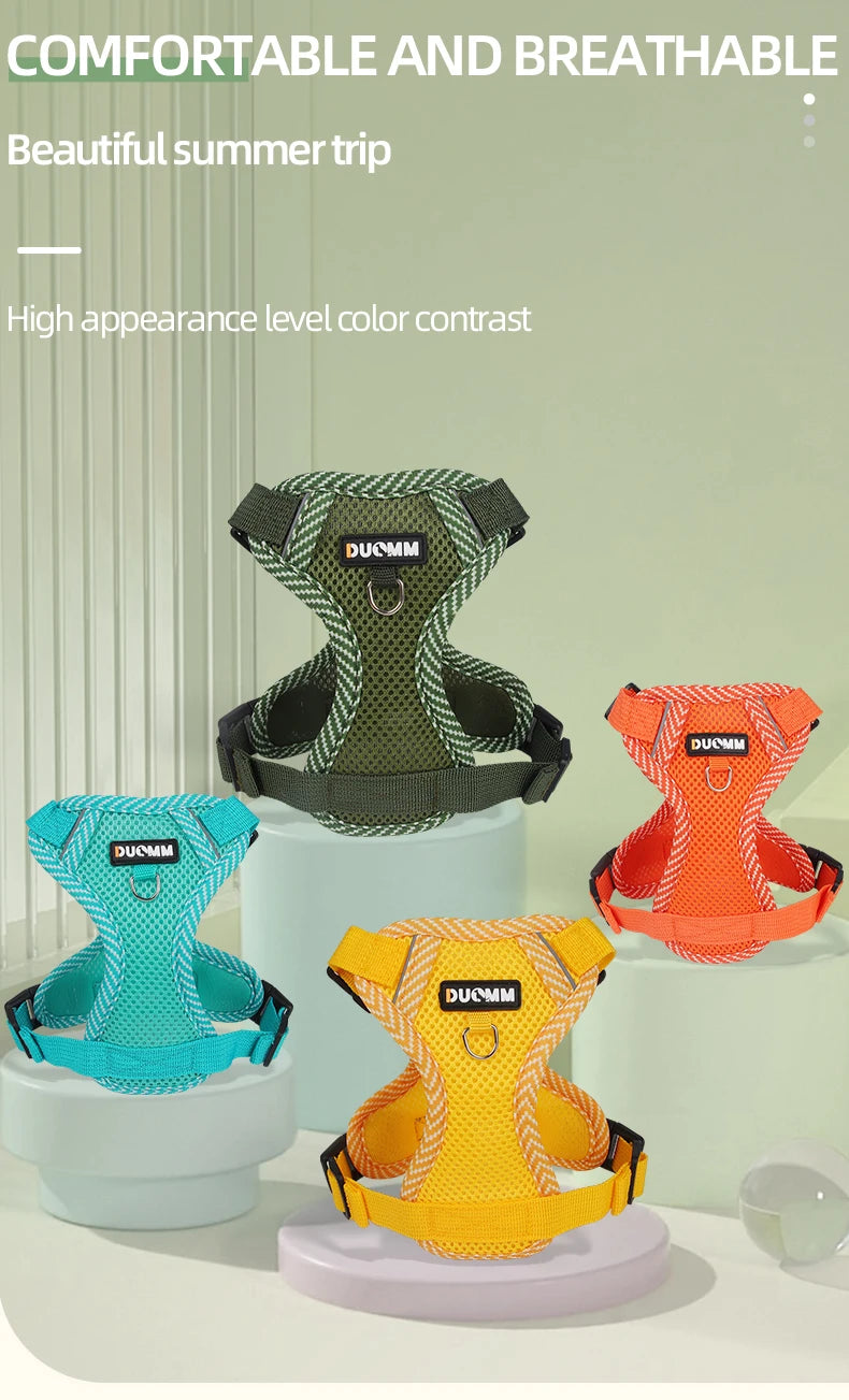 Four colorful dog harnesses on stands with text about comfort and breathability.