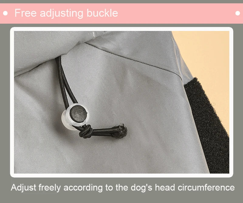 Gray dog coat with a free adjusting buckle on a beige background