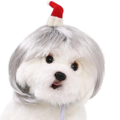 White dog wearing a gray wig and red Santa hat on a white background