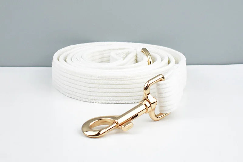 White dog leash with a gold clasp on a light gray background