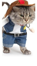 Cat wearing a cowboy costume with a hat, vest, and overalls on a white background