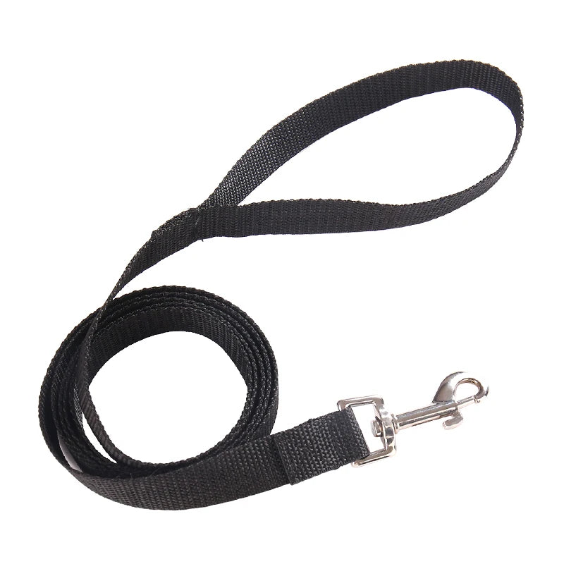 Black dog leash with a metal clip on a white background