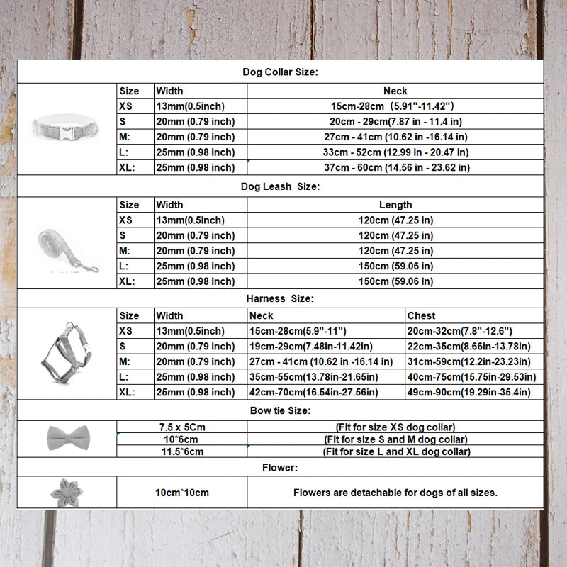 Size chart for dog collars, leashes, and harnesses on a wooden background