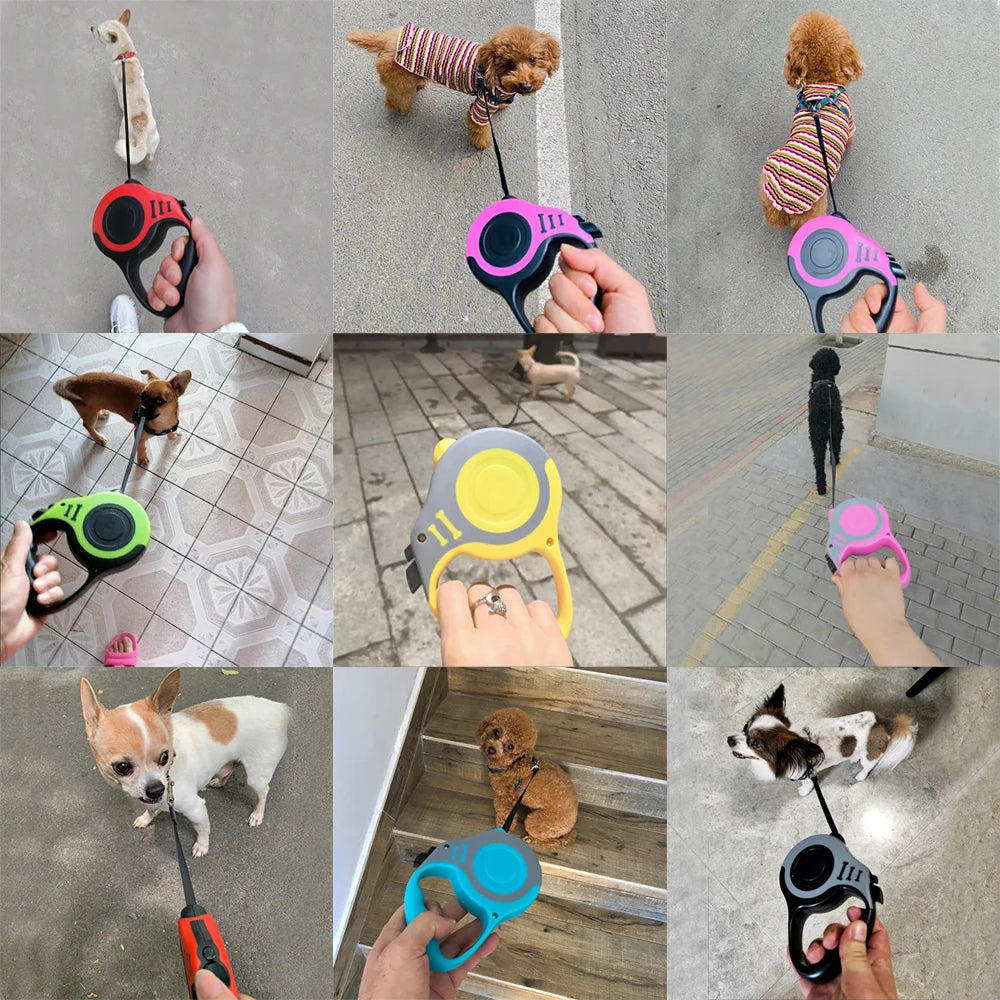 Collage of a dog leash with various color options being used with different dogs.