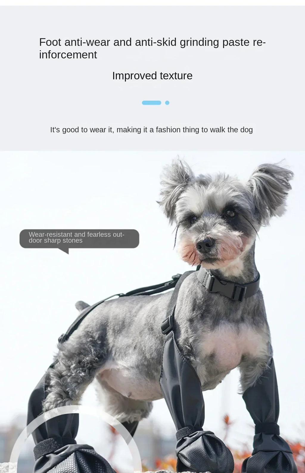 Dog wearing black booties on its paws with text about foot protection and texture improvement.