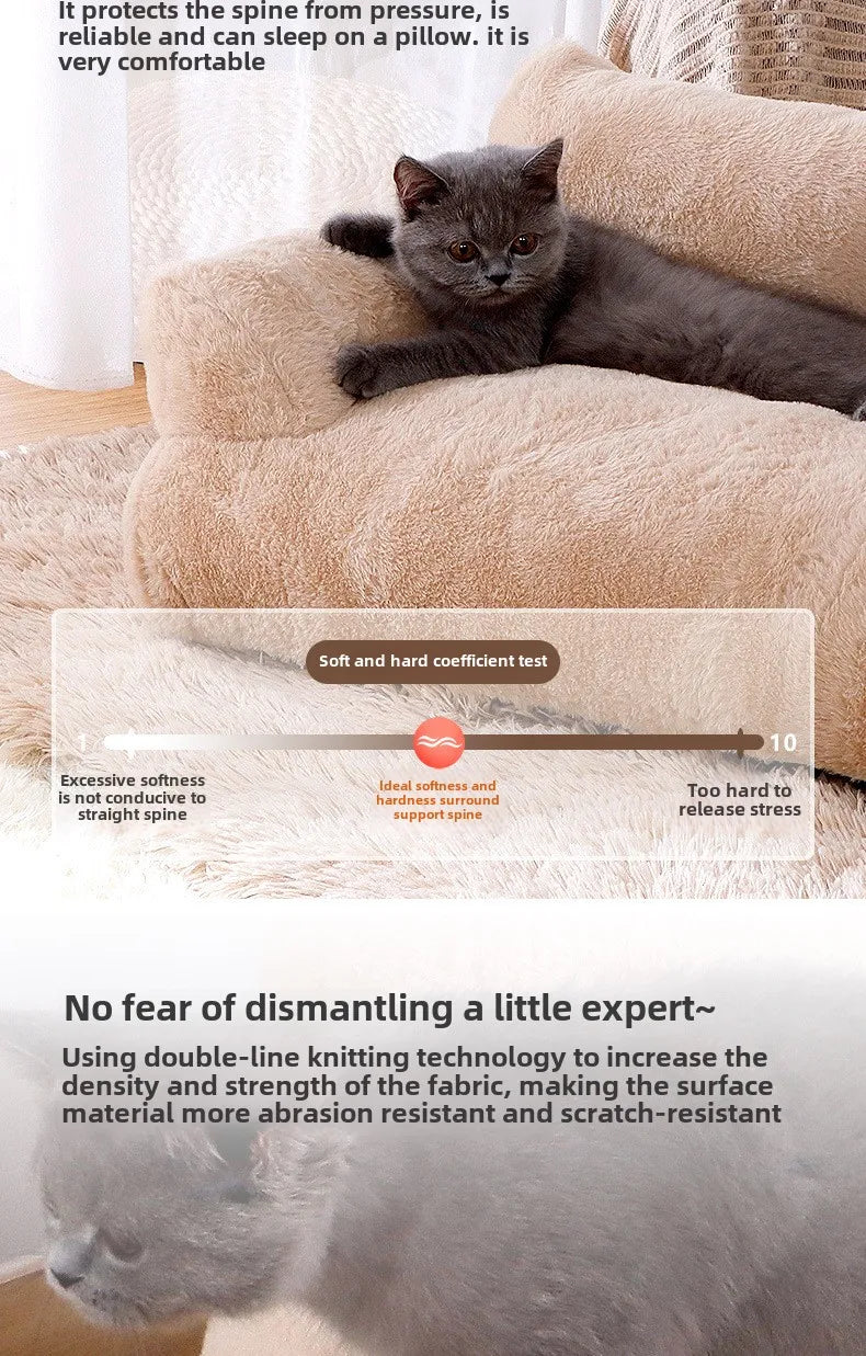 Cat lying on a beige cushion with text about comfort and durability.