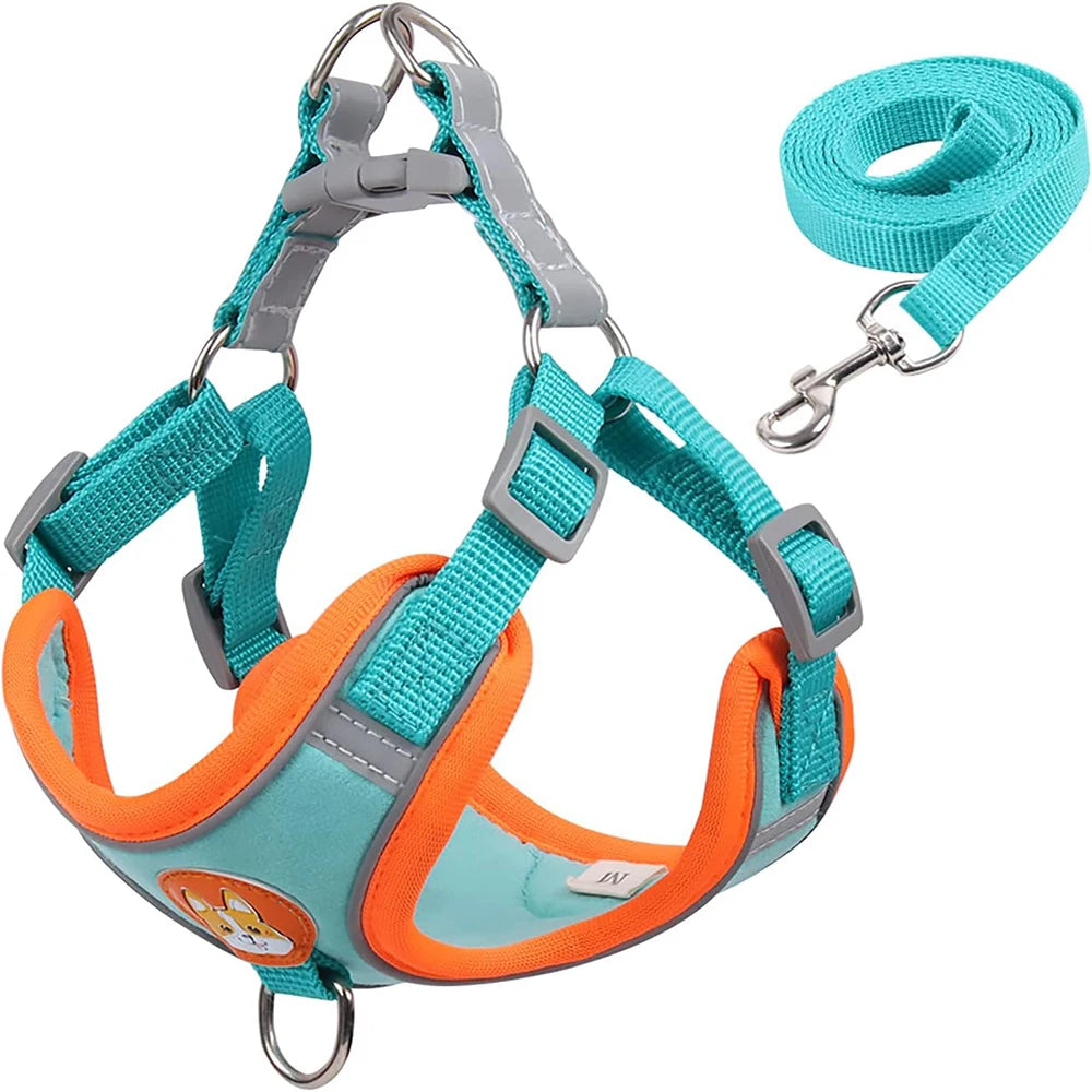 Dog harness and leash set with teal and orange design on a white background