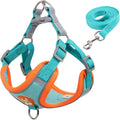 Dog harness and leash set with teal and orange design on a white background