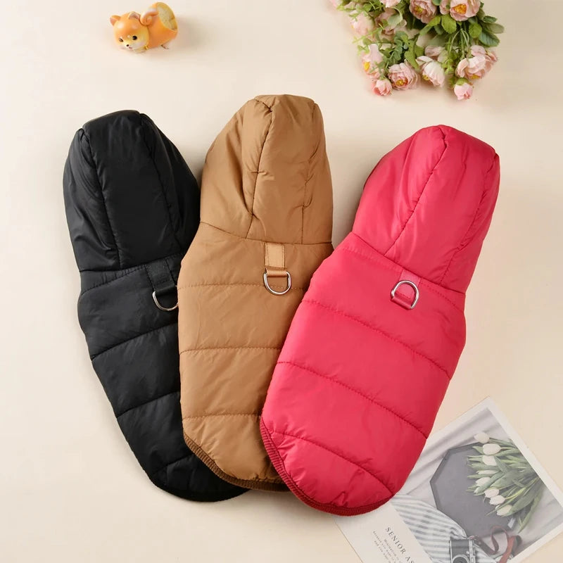 Three dog coats in black, brown, and red on a light surface with flowers in the background.