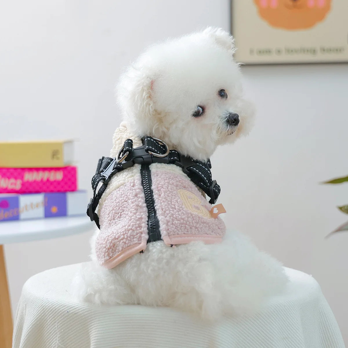 Cozy Pet Sweatshirt & Winter Coat for Small Dogs & Cats