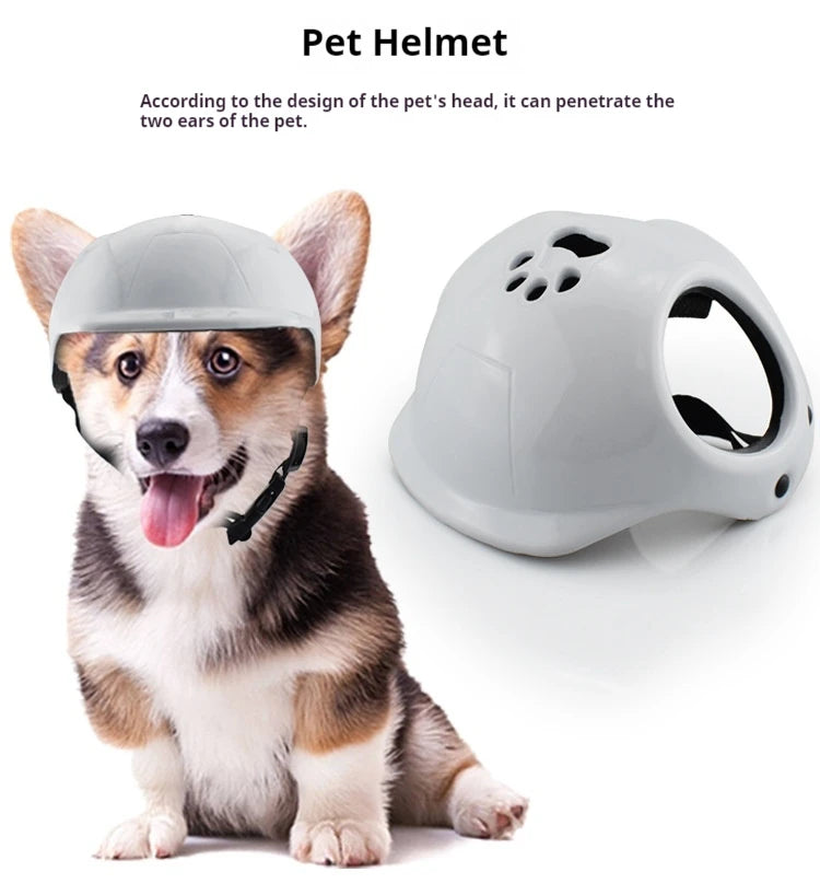 Dog wearing a pet helmet with a close-up of the helmet on a white background.