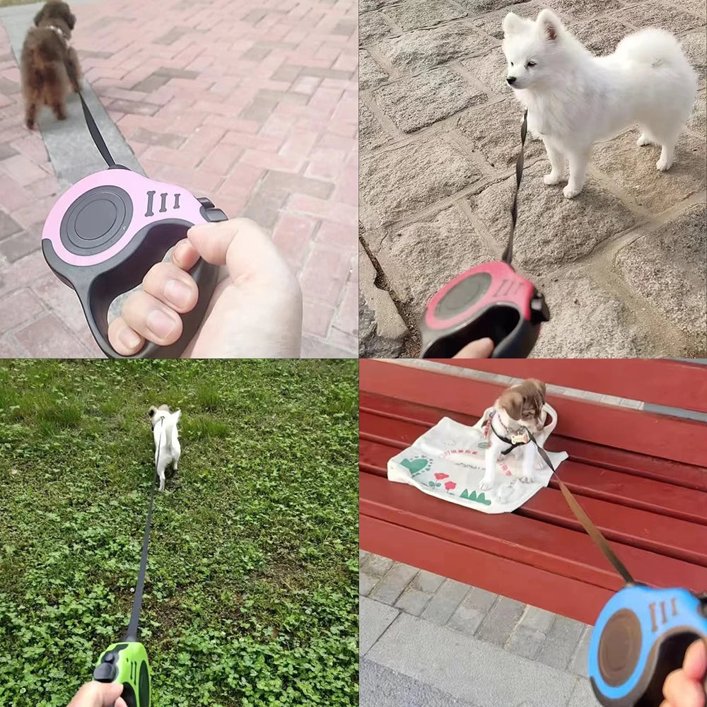 Collage of a dog on a leash with a person holding it, a white dog on a stone path, a dog on grass, and a dog on a bench.