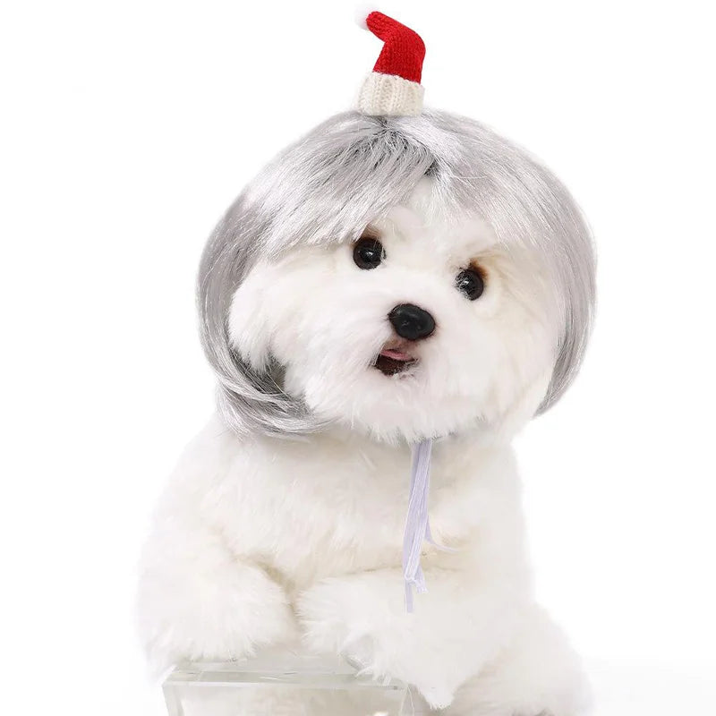 White dog wearing a gray wig and red Santa hat on a white background