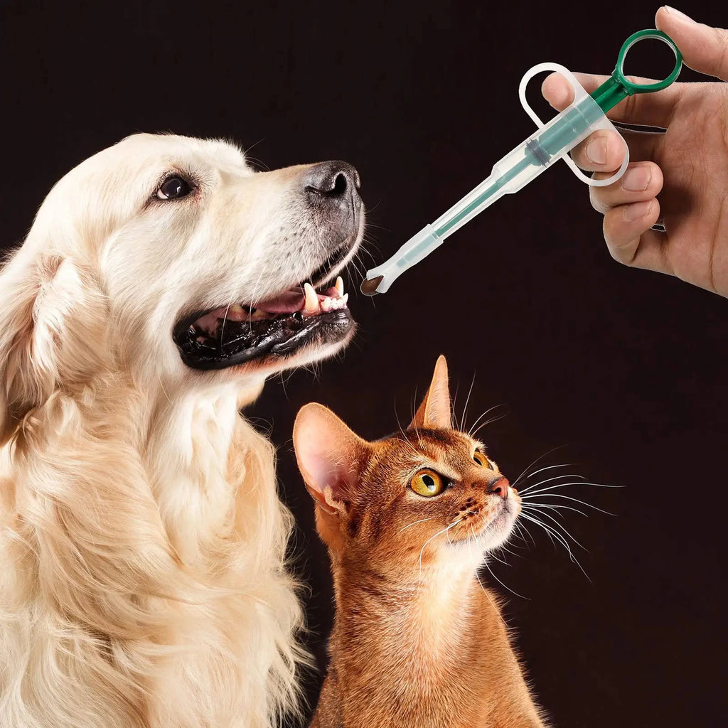dog and cat on black back round with image of green pill dispenser