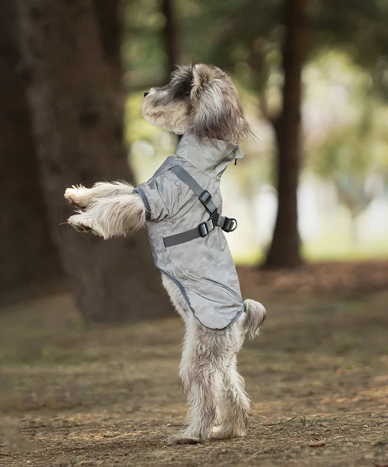 Dog standing on its hind legs wearing a raincoat in a forest setting