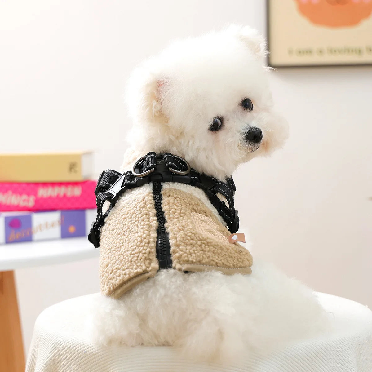 Cozy Pet Sweatshirt & Winter Coat for Small Dogs & Cats
