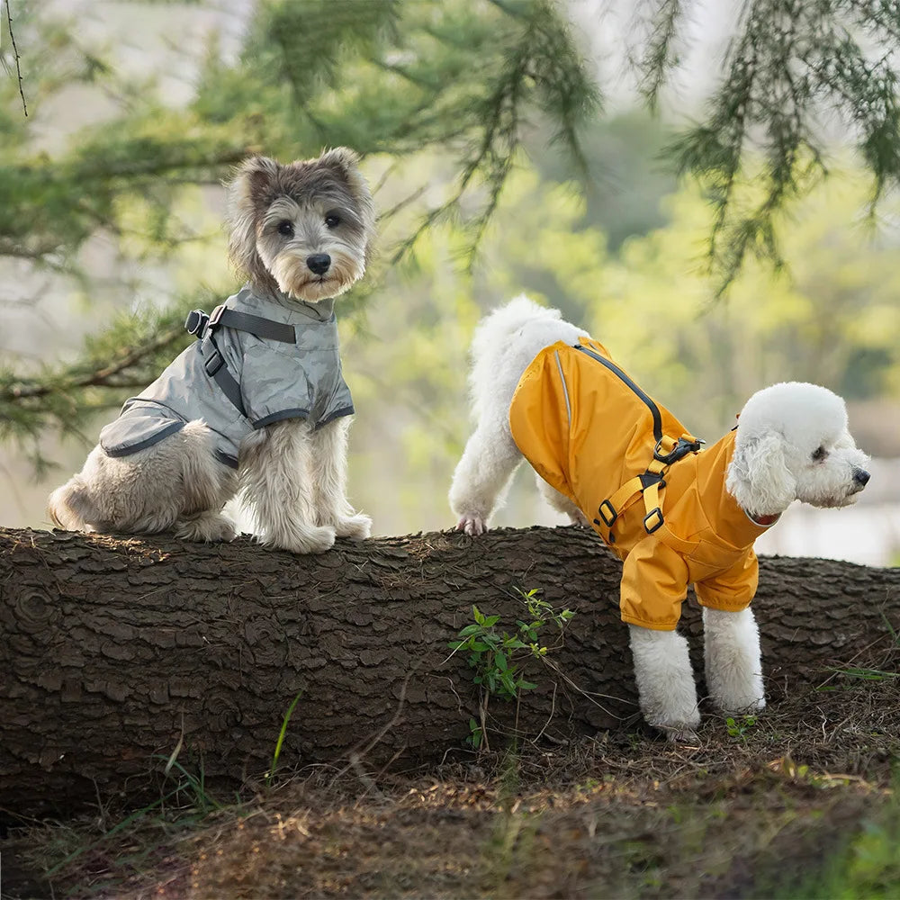 Two dogs in raincoats standing on a log outdoors with trees in the background