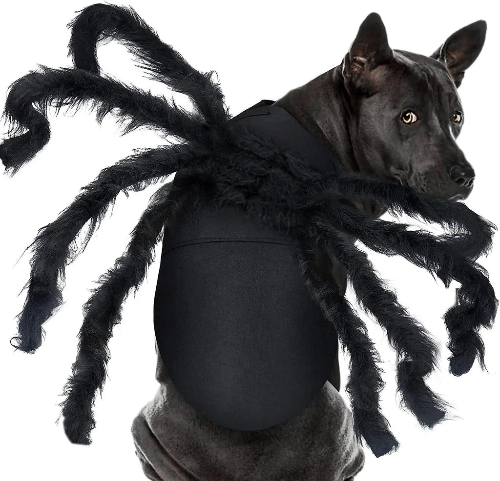 Dog wearing a spider costume with long legs on a white background