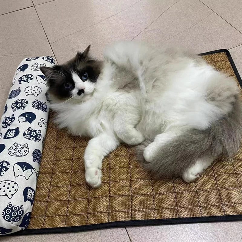 Cat lying on a mat with a patterned blanket next to it