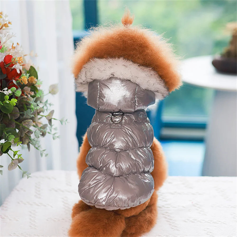 Dog wearing a silver puffer vest with a fur-lined hood indoors.