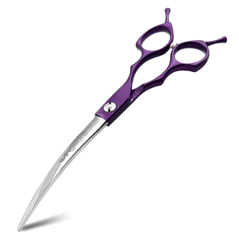 Purple hair cutting shears on a white background