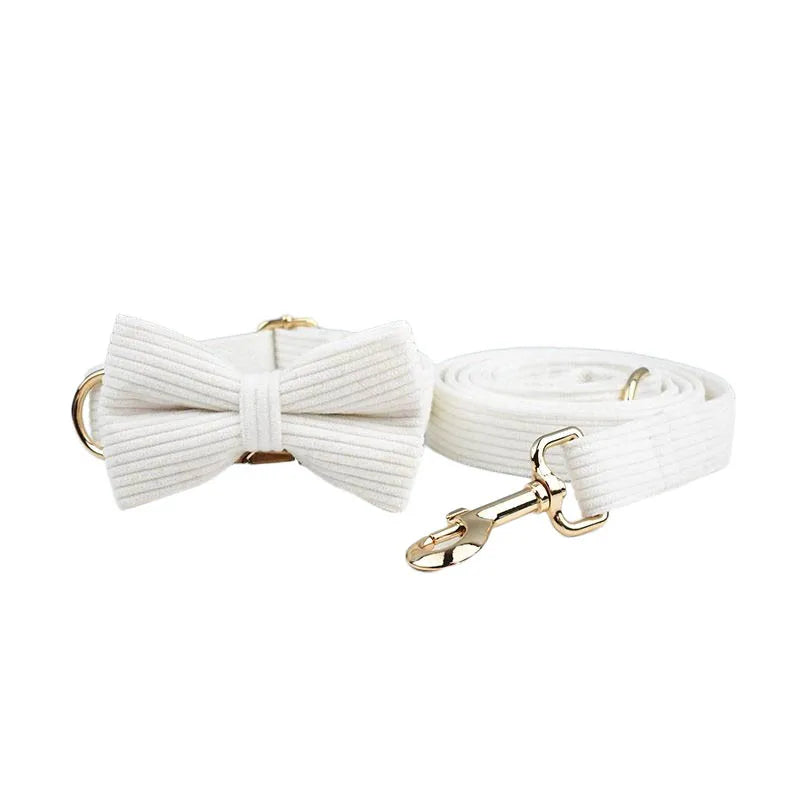 White bow tie and matching leash on a white background