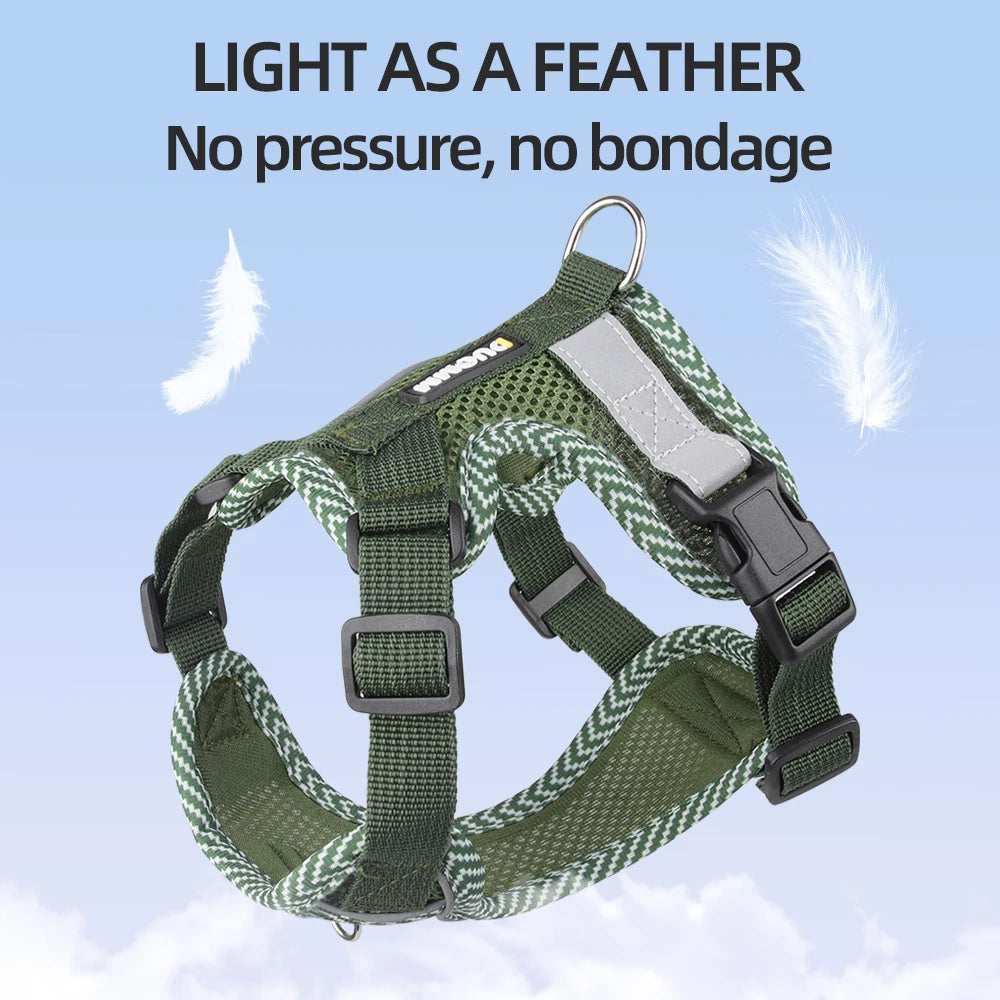 Green dog harness with text 'Light as a feather, No pressure, no bondage' on a light blue background