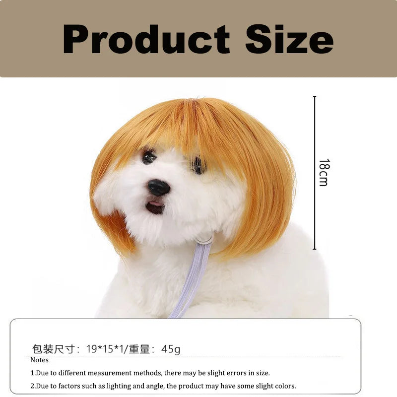 Dog with a blonde wig and measurement details on a beige background