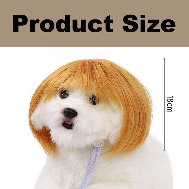 Dog with a red wig and measurement details on a beige background