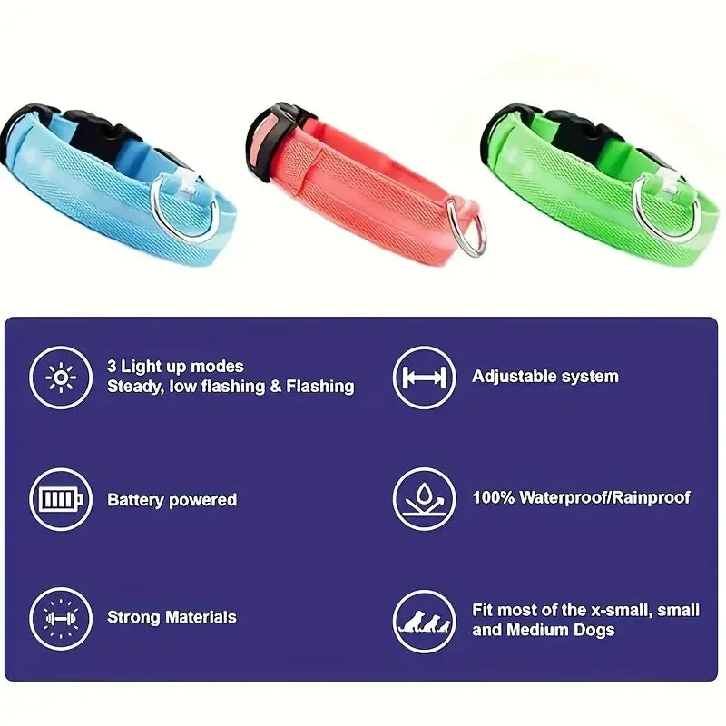 Three dog collars in blue, red, and green with features listed below on a white background.