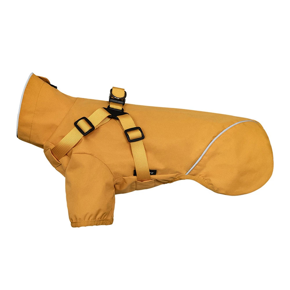 Yellow dog coat with harness on a white background
