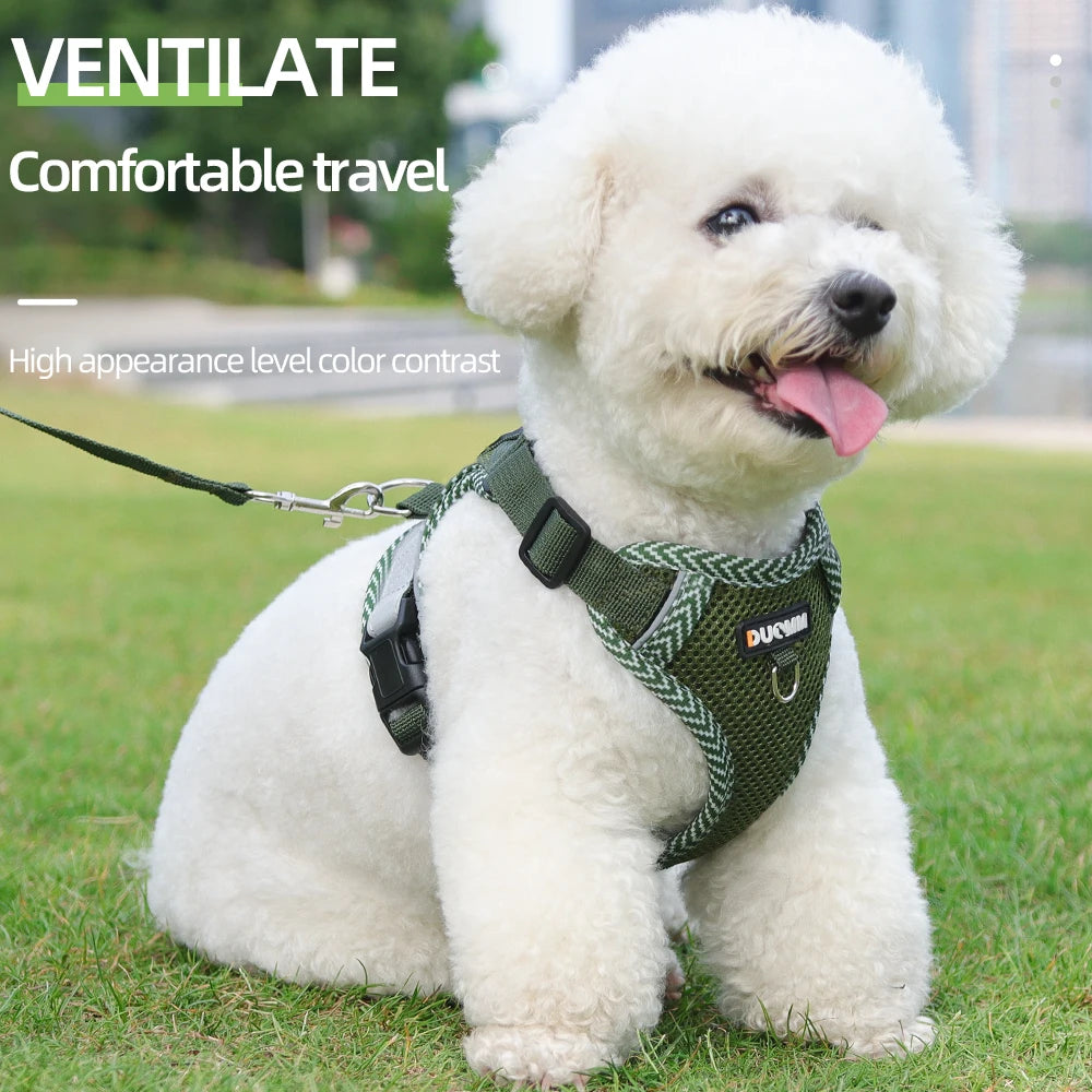 White dog wearing a green harness sitting on grass