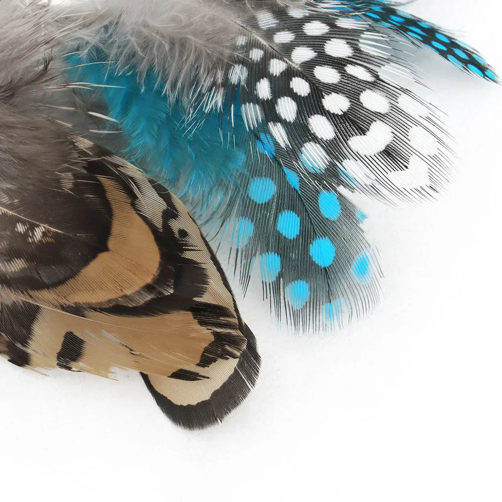 Close-up of colorful feathers on a white background