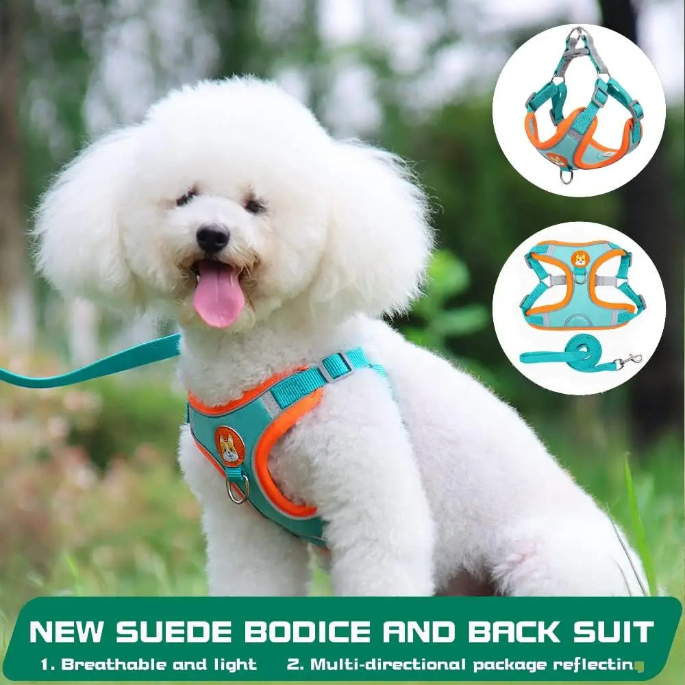 White dog wearing a teal and orange harness with product details on a green background