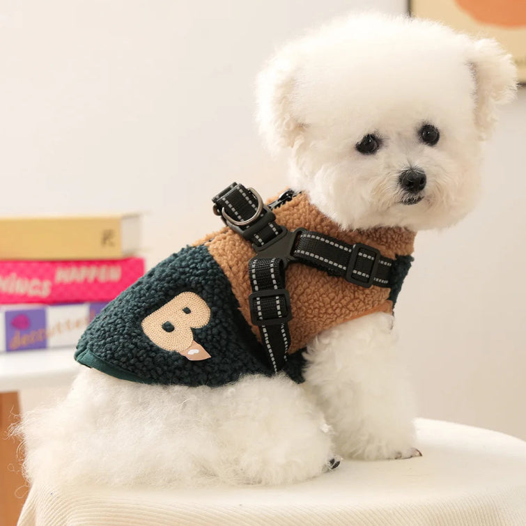 Small white dog wearing a brown and green sweater with a heart design on a white surface.