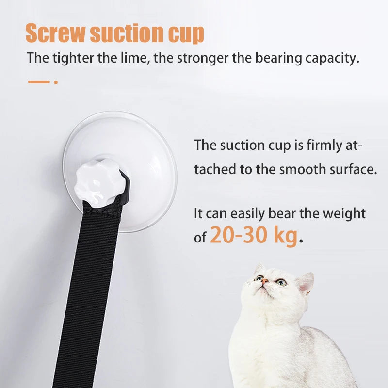 Suction cup with text explaining its strength and weight capacity, with a cat looking up at it.