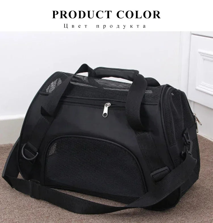 Black pet carrier on a carpeted floor with a white wall background