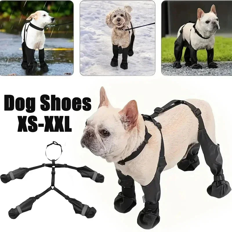 Dog shoes for XS-XXL dogs with a model wearing them on a white background.