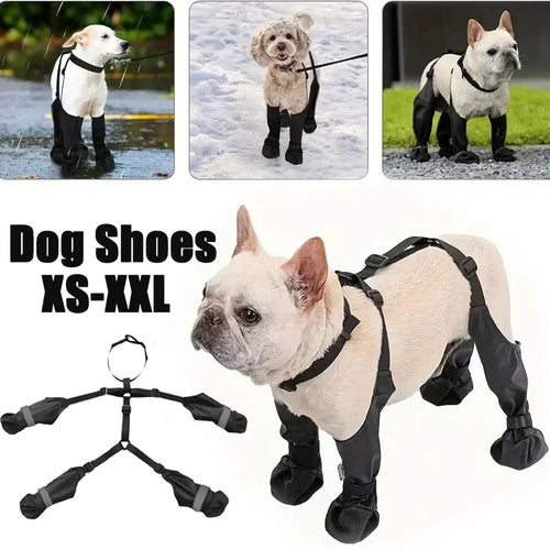 Dog shoes for XS-XXL dogs with a model wearing them on a white background.