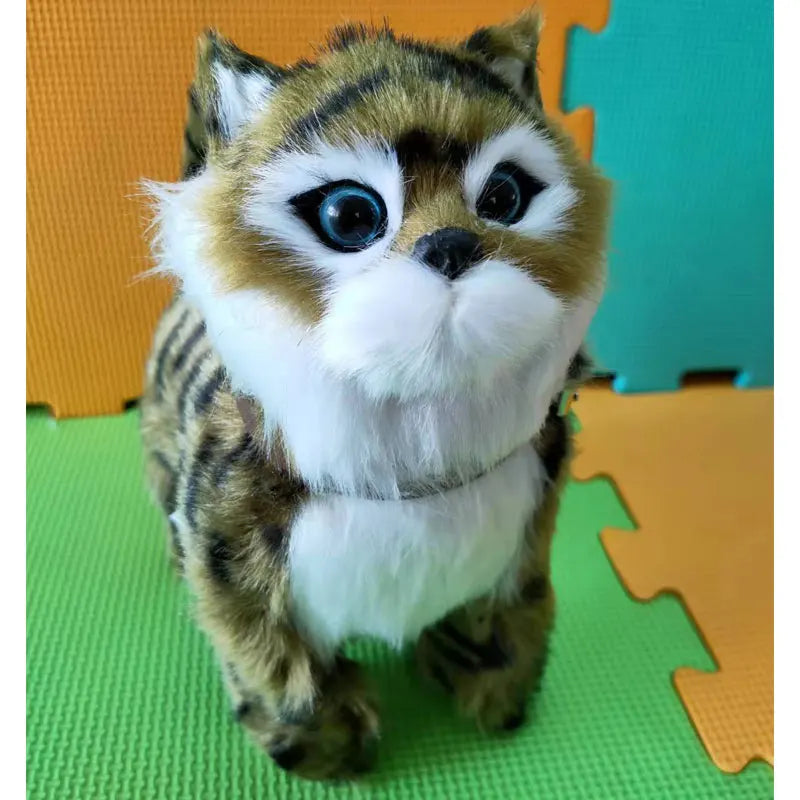 Plush toy cat with blue eyes on a colorful background