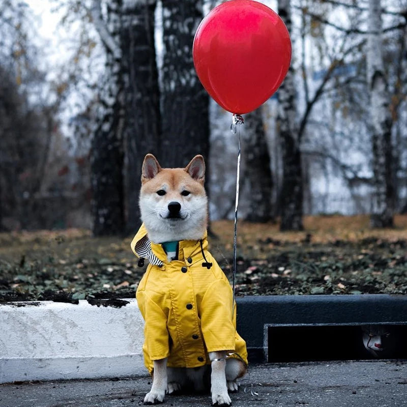 Dog in a yellow raincoat holding a red balloon in a forest setting