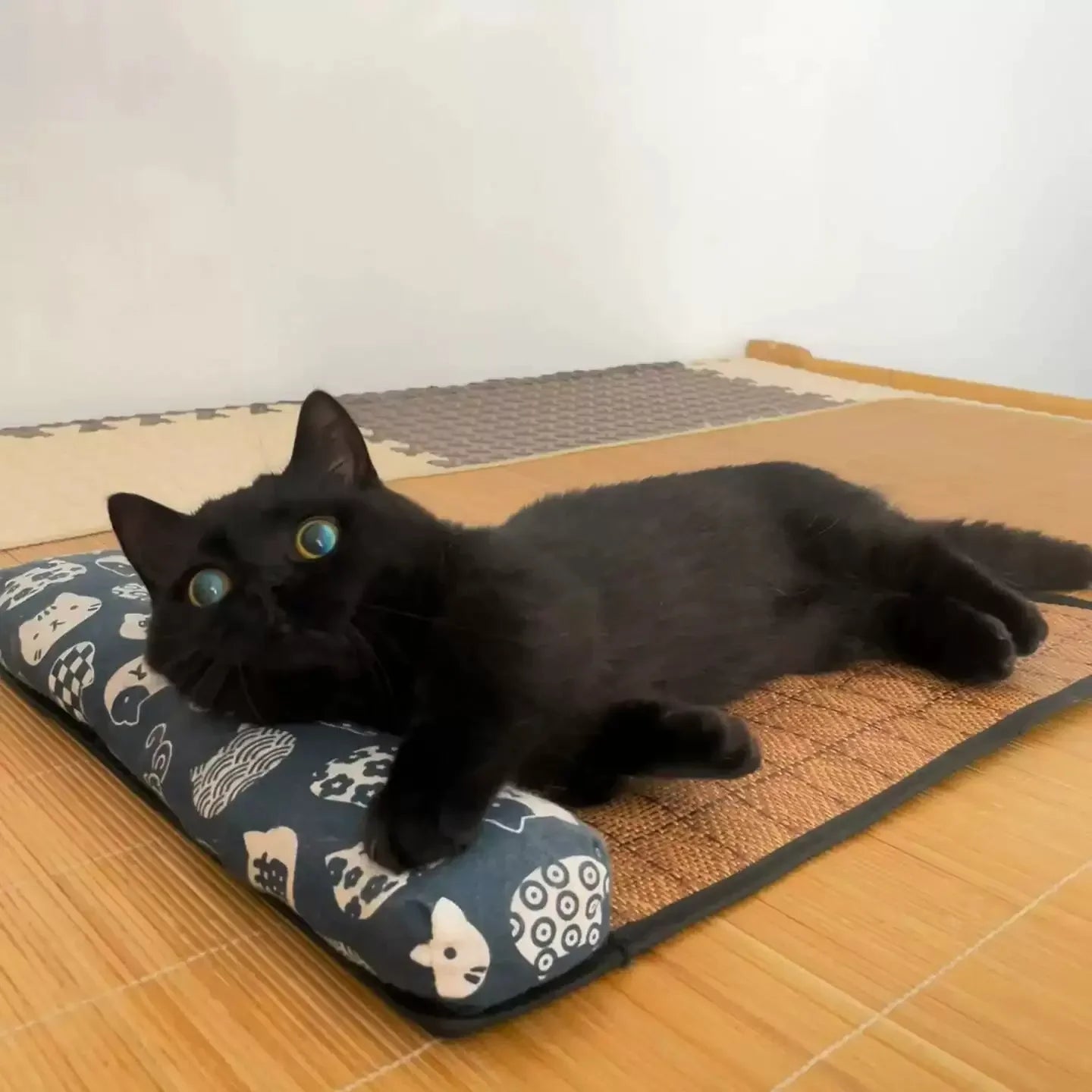 Black cat lying on a textured mat with a patterned cushion