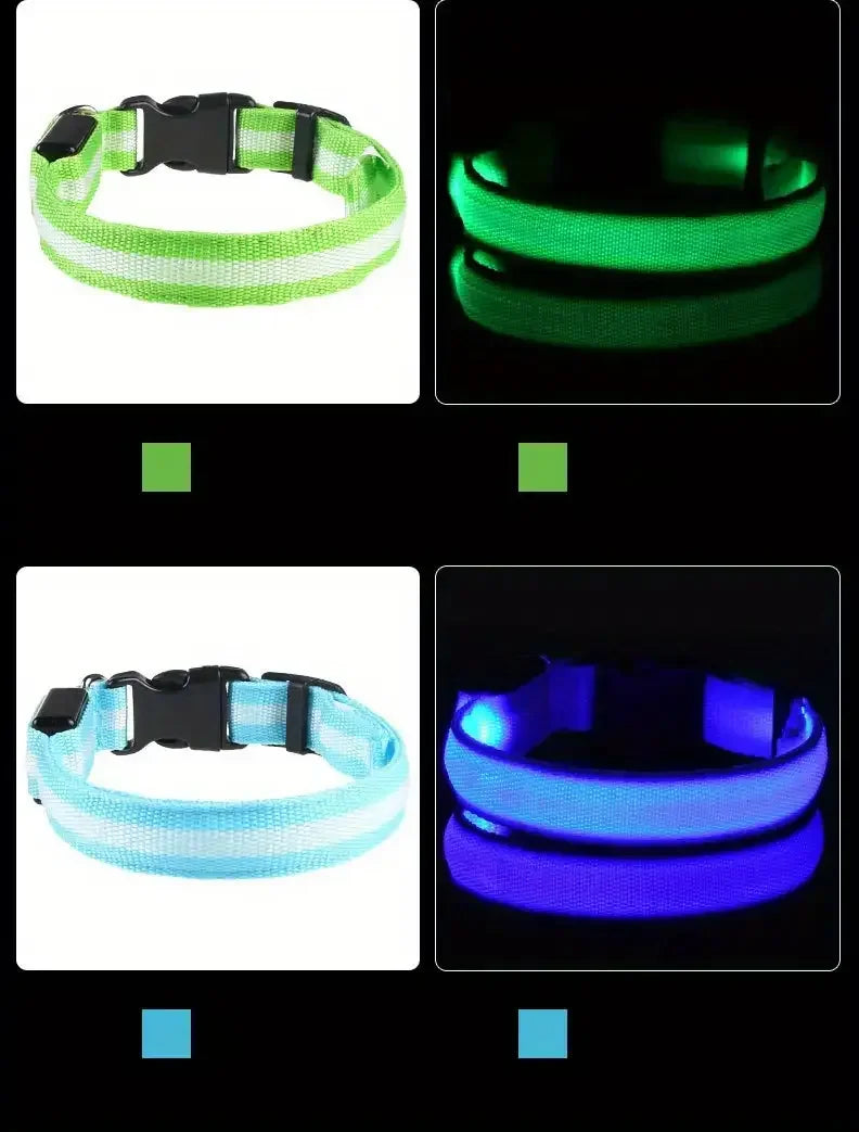 Glowing LED dog collars in green, blue, and purple on a white background.