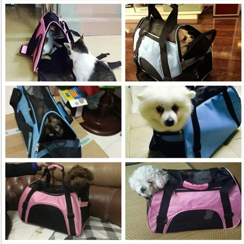 Collage of dogs in various pet carriers on different surfaces.