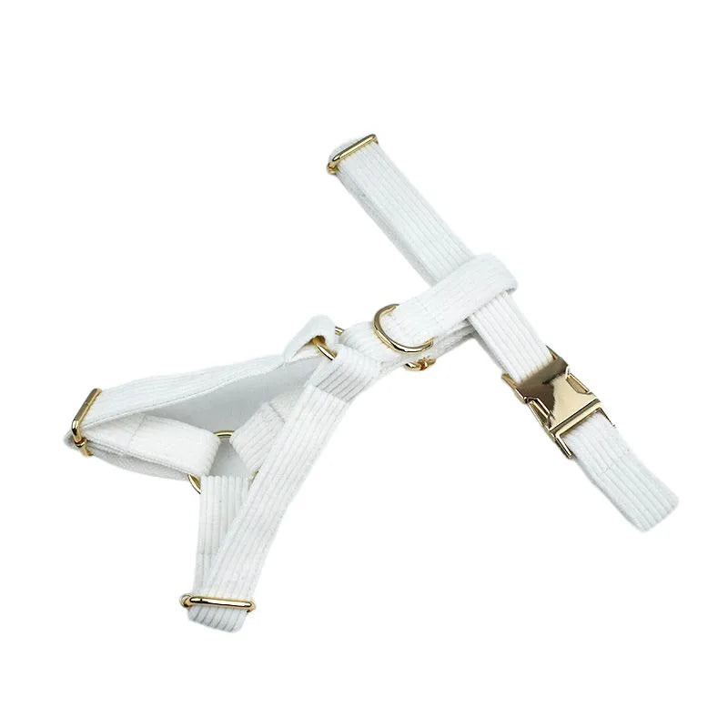 White leash  with gold accents on a white background