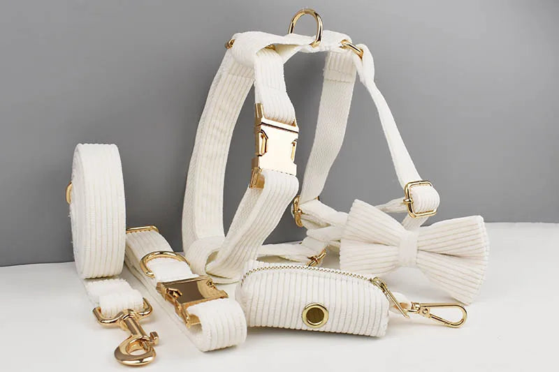 White dog harness with gold hardware on a gray background