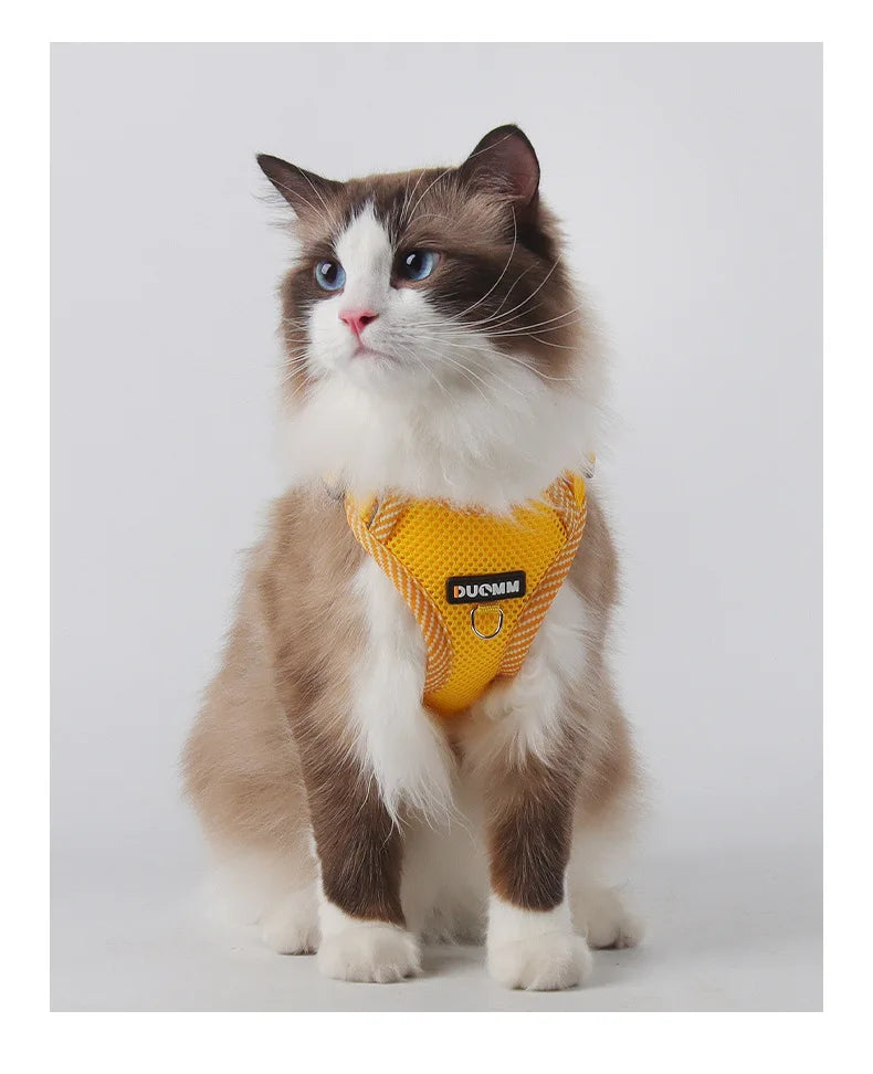 Cat wearing a yellow harness with a brand logo on a light gray background