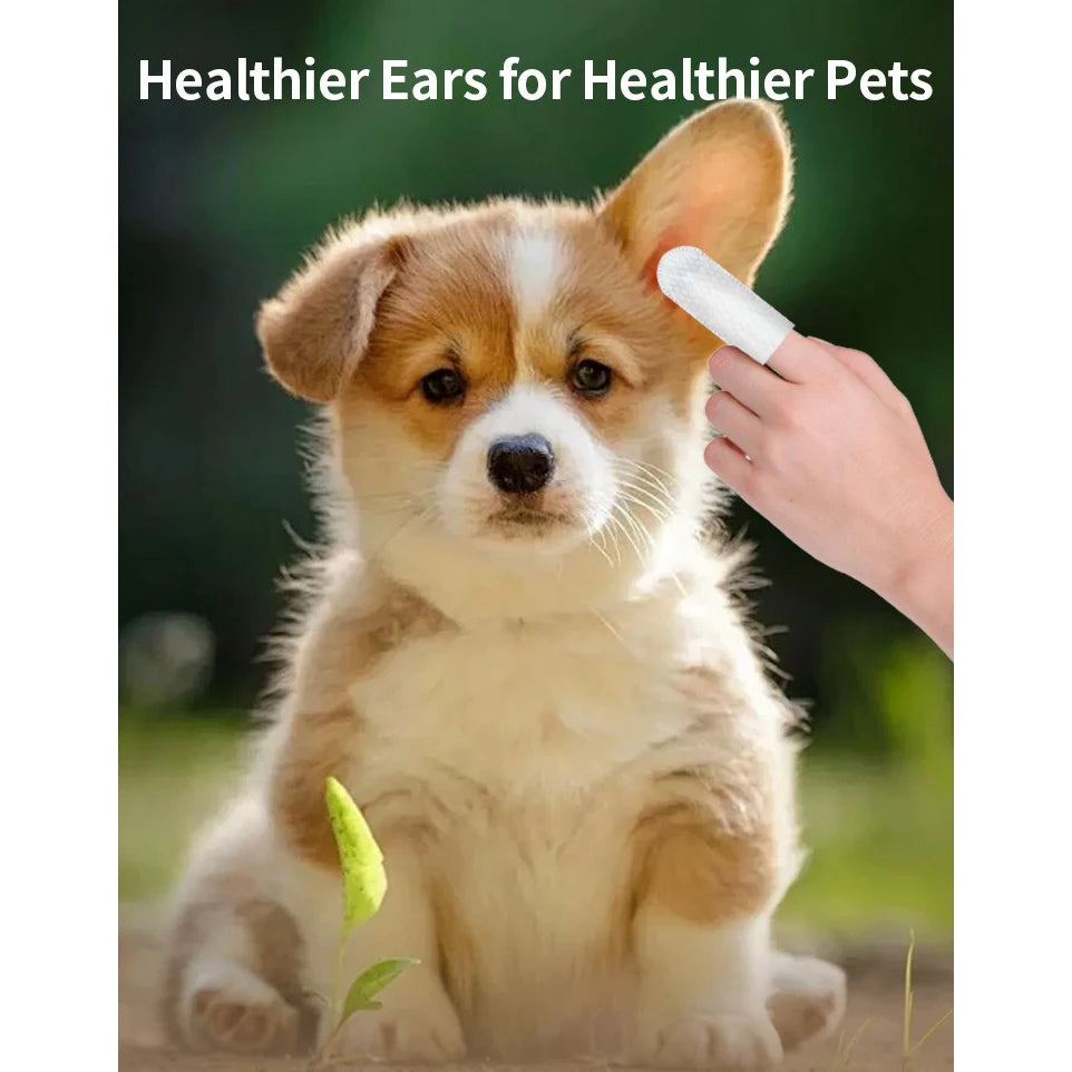 Dog being groomed with a product labeled 'Healthier Ears for Healthier Pets' on a blurred natural background.