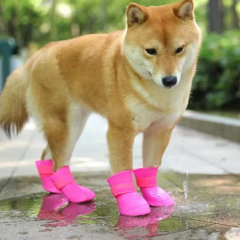 Dog wearing pink rain boots standing on a wet surface with a blurred green background